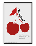 Cerasella