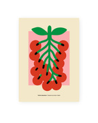 Mini stampa napoletana "Piennolo" di Grafiche Napoletane